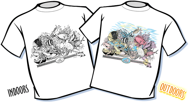 180 Coral Reef - Sun Color Changing Shirts (614x337)