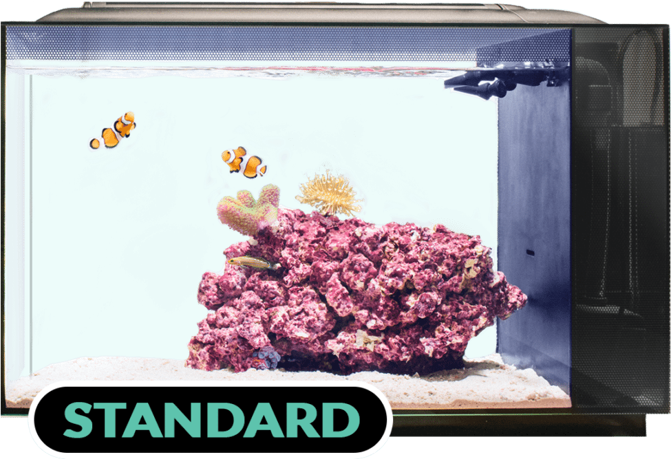 Biota Aquarium Tank Standard - Aquarium (1000x669)