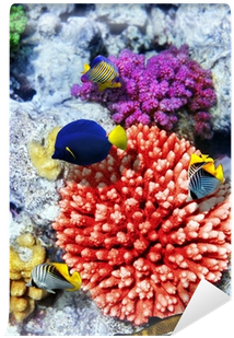 Coral And Fish In The Red Sea - Bead (400x400)