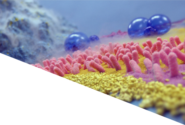 Ars Thanea (640x433)