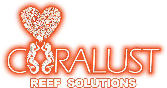 Soluciones Coralus Coral - Hemd Grün (679x367)