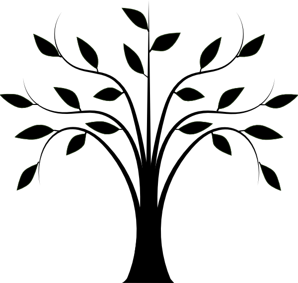 Tree Drawing Clipart - Black Tree Vector Png (600x569)