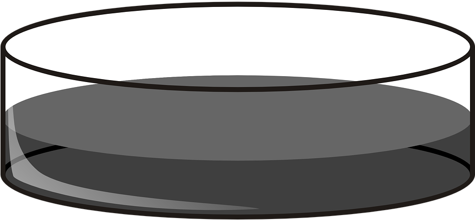 Petri Dish, Deep, Lab, Fluid, Grey - Placa De Petri Desenho (960x480)