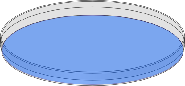 Petri Dish Clip Art (600x282)