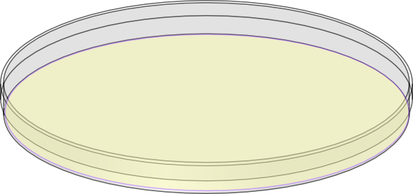 Petri Dish With Agar Drawing (600x282)