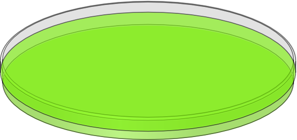 Dcpa Petri Dish Clip Art At Clkercom Vector - Petri Dish Green (600x283)