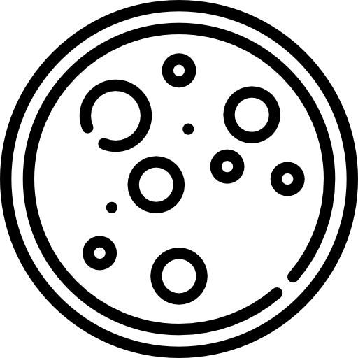 Petri Dish Free Icon - Petri Dish Icon (512x512)