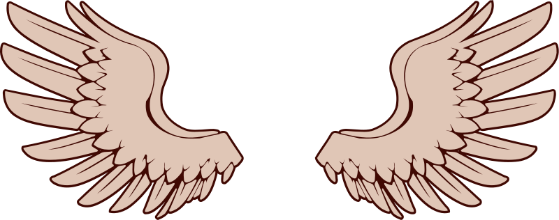 Angel Wings Free Angel Wing Clip Art Free Vector For - Bird Wings Clipart (958x379)