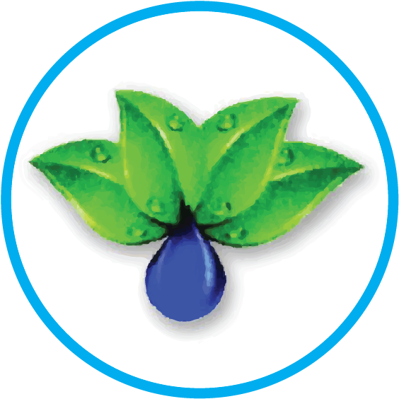 Sandrico Steam Cleaning Services - Steam Cleaning (591x591)