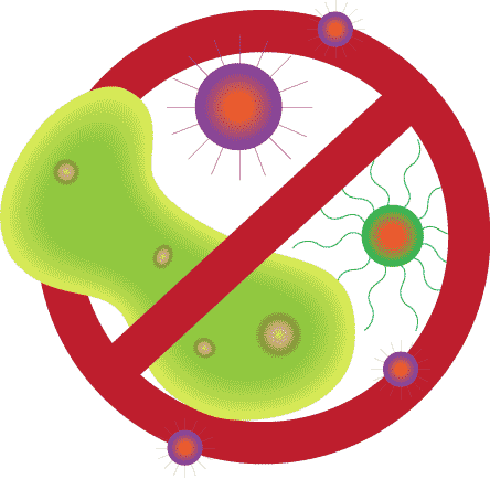 Mold Resistant - Lily Pad Coloring Page (444x434)