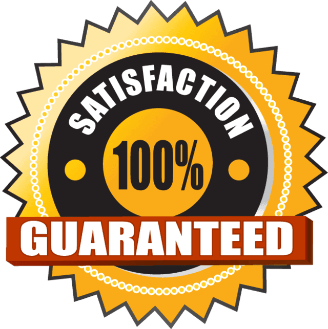 Carpet Cleaning Muncie Indiana Steam Cleaner - College Guitar College Guitars Officially Licensed (640x643)