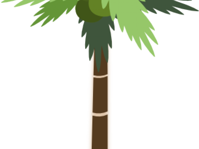 Palm Tree Clipart Tall Short Tree - Palm Tree Clip Art (640x480)