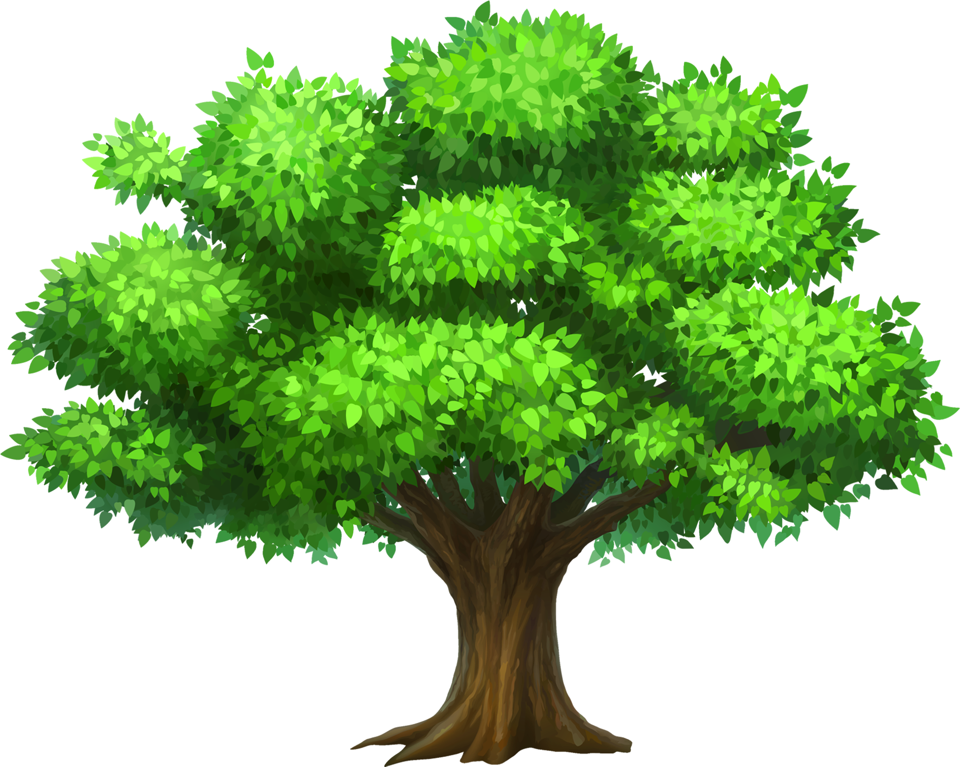 Tall Oak Tree Clipart Png - Tree Clipart Png (1954x1583)