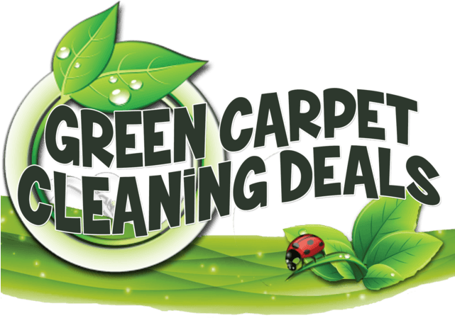 Professional Carpet Cleaning, Steam Carpet Cleaning - Carpet Cleaning (640x455)