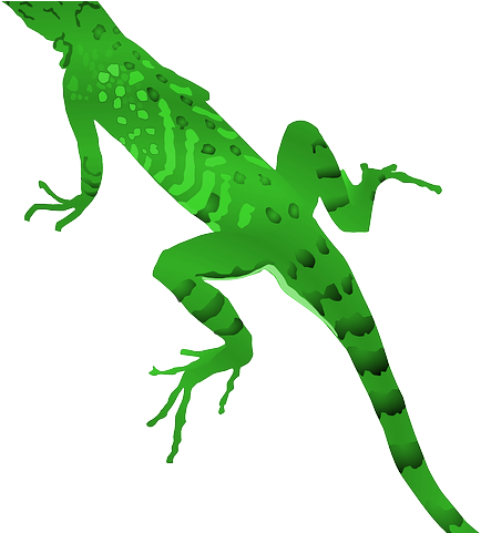 Lizard Clipart Butiki - Lizard Clipart (640x480)