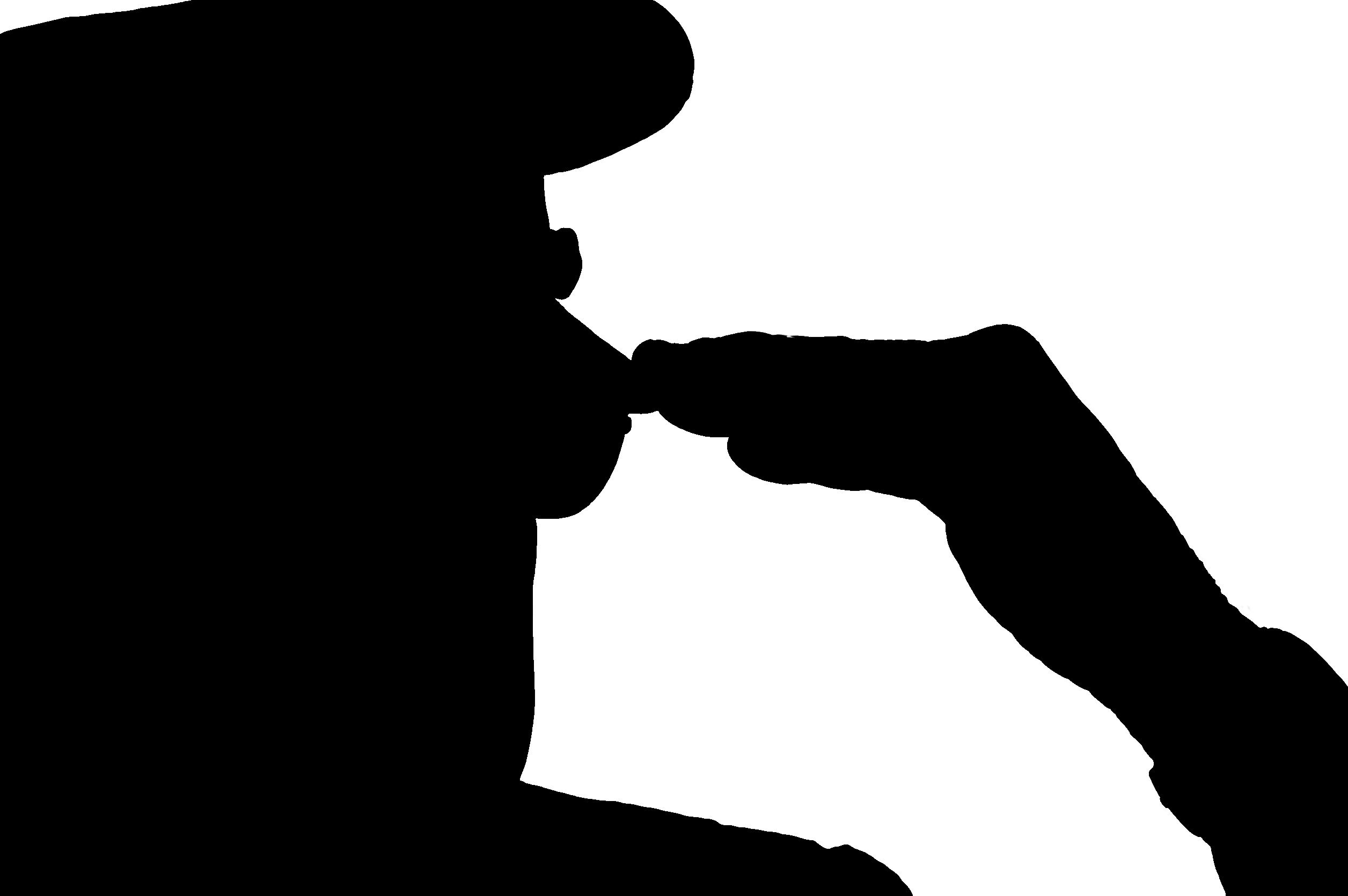 An Unforgettable Salute From A Veteran Heart N Home - Soldier Saluting Silhouette Transparent (2512x1670)