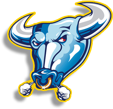 Northwestern-logo - University Of Buffalo Mascot (400x400)