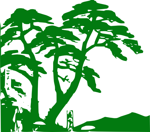 Tree Clip Art Jungle (600x529)