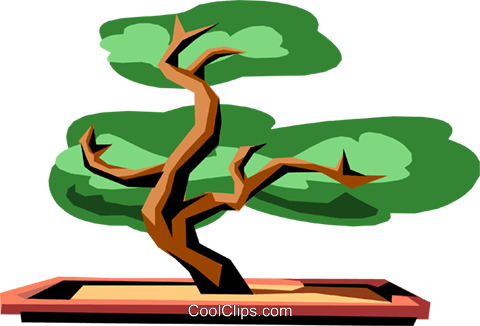 Bonsai Tree Clipart - Bonsai Tree Clipart (480x326)
