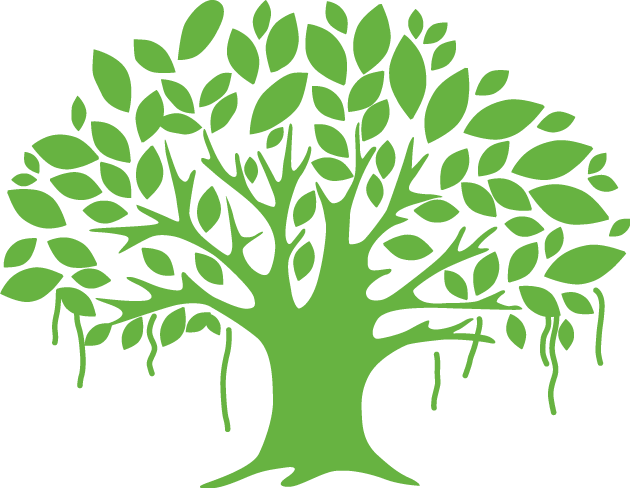 Banyan Tree Clipart Leaf - Banyan Tree Logo Png - (630x488) Png Clipart  Download