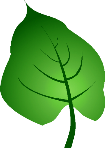 Green Leaf By Clipartcotttage - Creative Commons Leaf Clip Art (355x500)