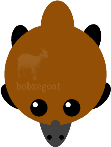 Io Platypus Just Art - Cartoon (500x500)