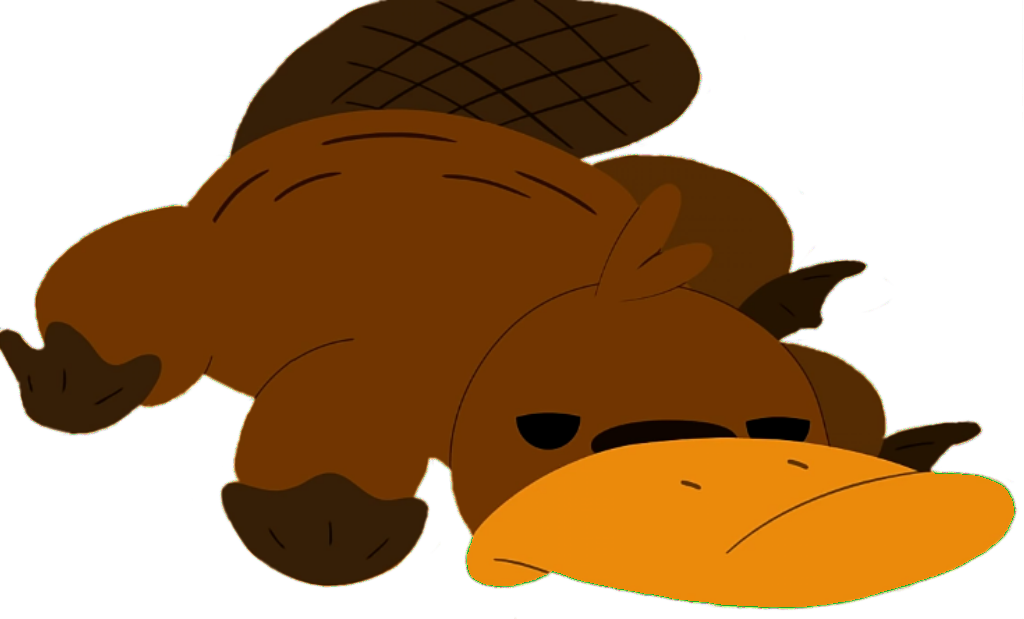 Muack - Camp Camp Platypus Plush (1024x619)