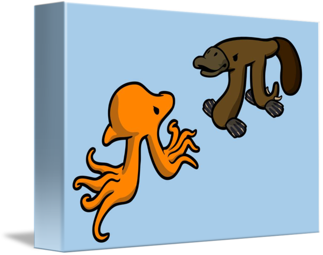 Share On Tumblr - Octopi Vs Platypi Flask (650x512)