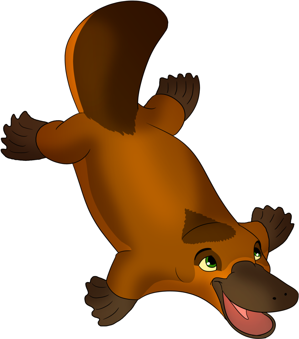 Platypus By Albinoraven666fanart Platypus By Albinoraven666fanart - Platypus Fanart (1024x1122)