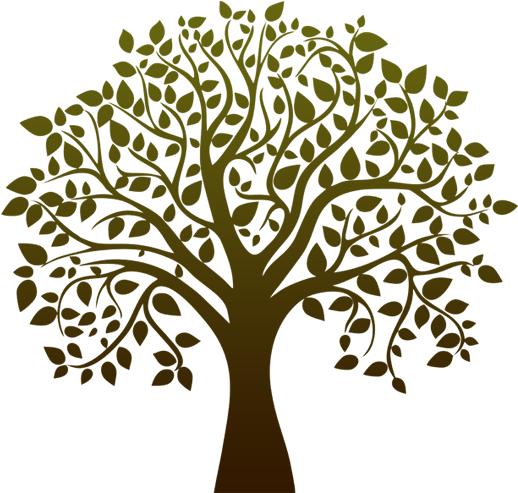 Nuestro Árbol De La Vida - Sociology: The Basics [book] (525x500)