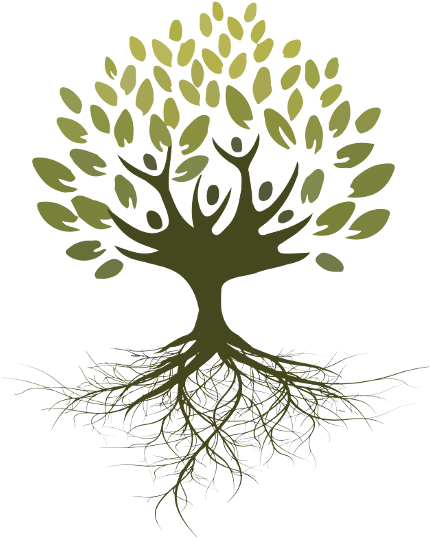 Asociaci N Ra Ces For Dibujo De Arbol Con Raices Y - Arbol Con Raices Png (600x600)