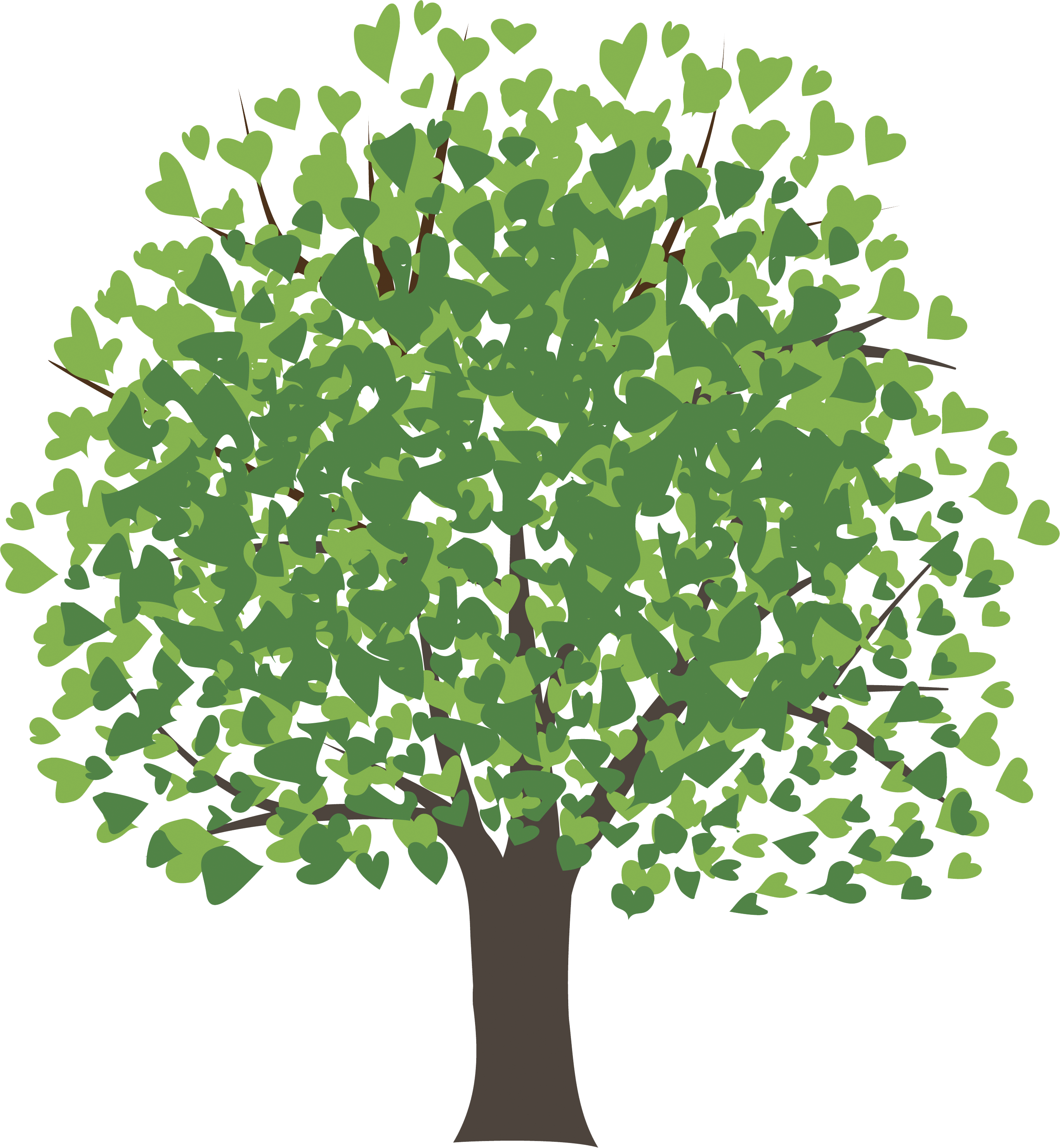 Mangifera Indica El Árbol De Mango De Dibujo Clip Art - Love Vector (2731x2959)