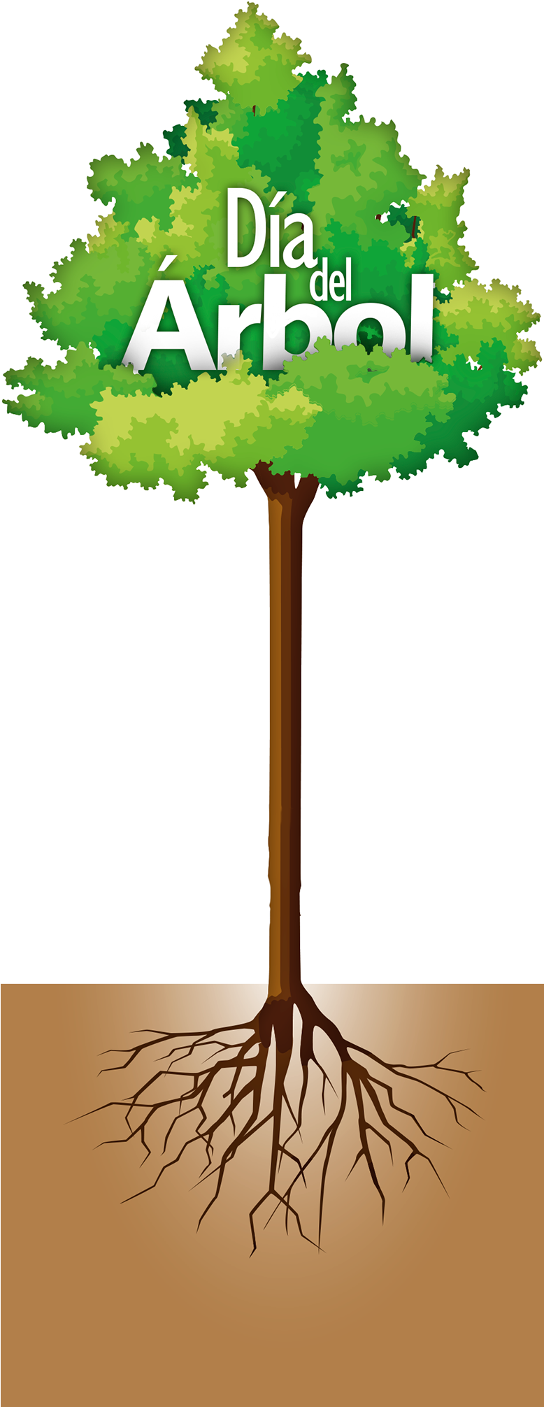 El Primer País Que Instituyó Un Día En El Año Para - Tree (777x2048)