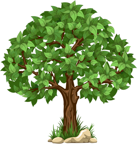Actividades Para Niños - Tree Clipart Transparent Background (488x500)