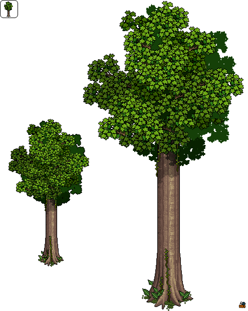 2° Indicamos En El Buscador La Frase "árbol Alto" E - Habbo Arbol (495x620)