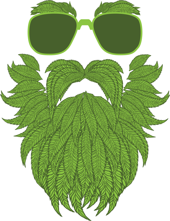 Fumar Cannabis Dibujo De Cannabis Medicinal - Cool Weed (555x721)