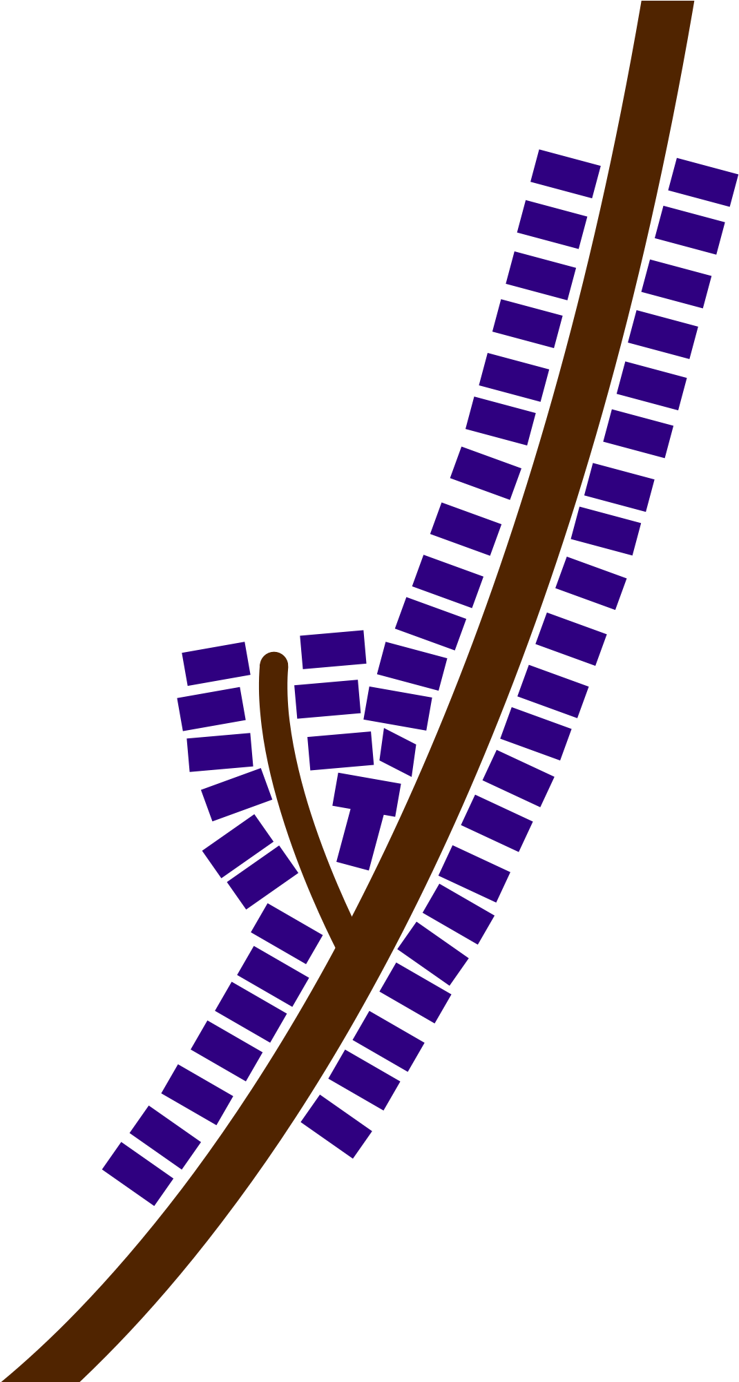 Ribbon Development (1200x2000)