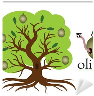 Drawn Tree Olive Collection And Share - Tree (400x400)