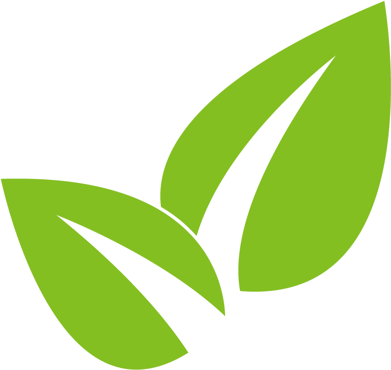 Plant Leaves - Root (1250x1250)