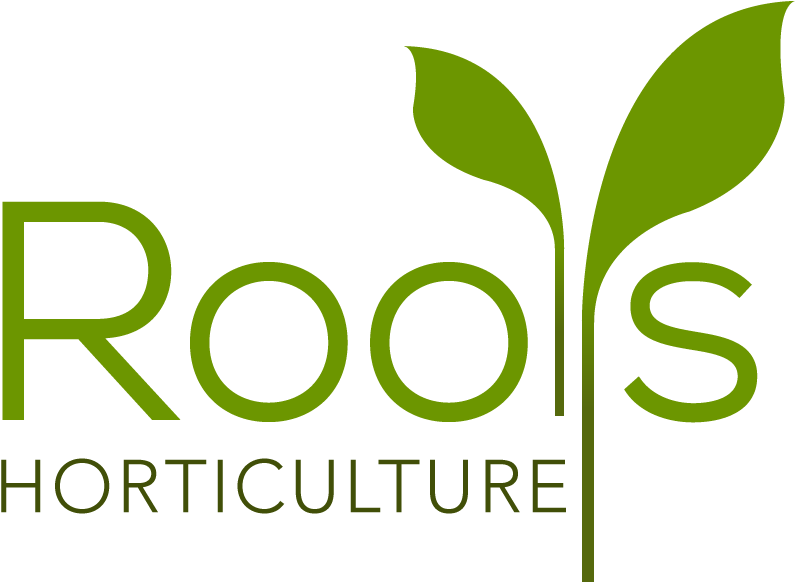 Two Growing Leaves Were Chosen To Make The T As They - Graphic Design (1280x800)