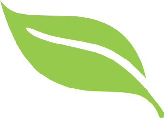 And Spirits From Around The World - Mint Leaves Clip Art (350x350)