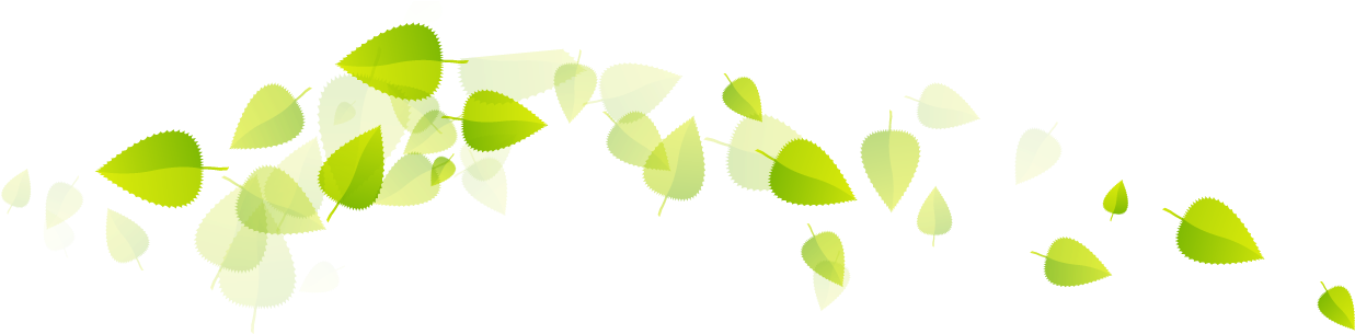 Joyful Embodiment - Green Tea Leaves Ong (1284x316)