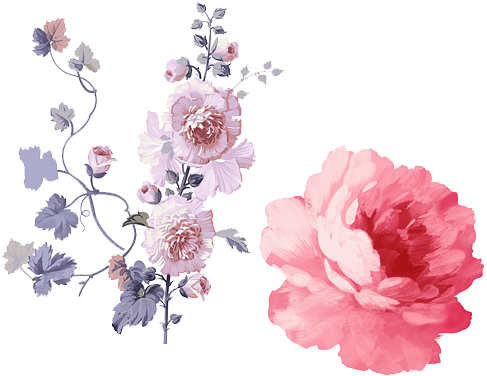 موضوع تفاعلي - Flower Illustration Watercolor Png (500x500)