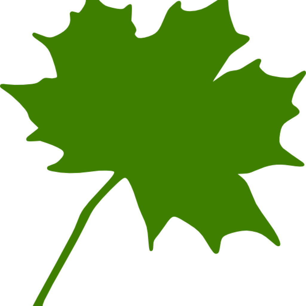 Maple Leaf Clipart Green Clip Art At Clker Vector Online - Maple Leaf Clipart Green Clip Art At Clker Vector Online (1024x1024)