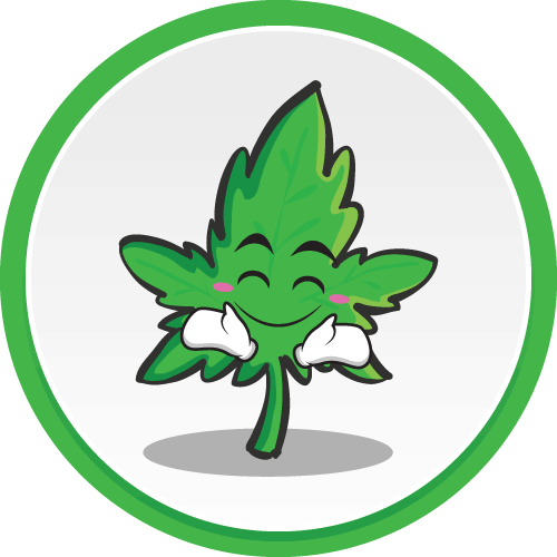 Vaporizer Info - Cartoon Leaf With Face (500x500)