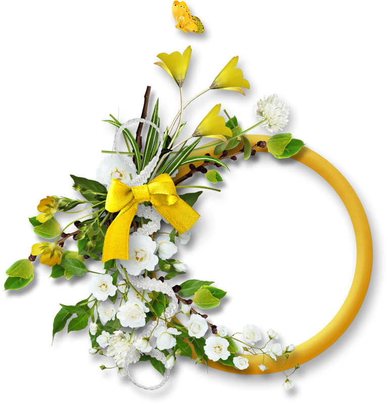 سـكـرابـز اطـارات حـصـرى لكـل العـدولات - Tubes Cadres Decoratifs Centerblog (768x800)