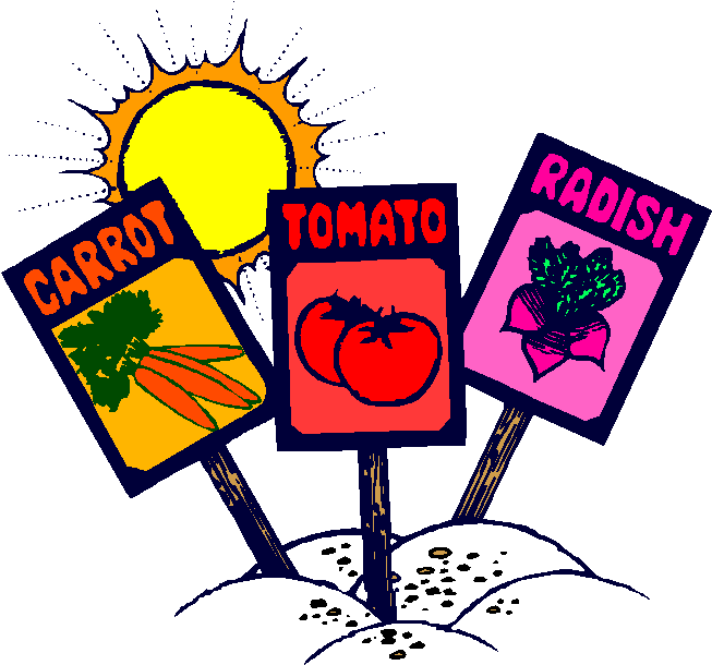 Gardening An Outdoor Family Project - Best Gift - Gardening Next Delicious Hobby You Will (691x648)