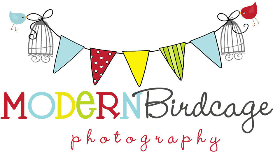 Modern Birdcage Photography - Cute Bird Cage Png (1000x547)