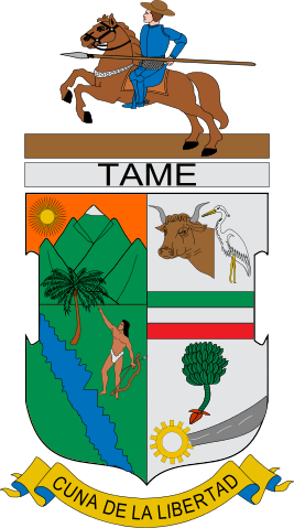 133 × 240 Pixels - Escudo De Tame Arauca (267x479)