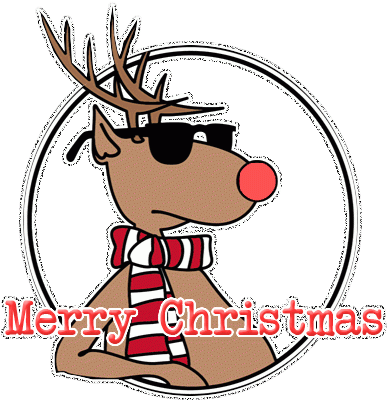 Best Best Photography Logos Cool Reindeer Sunglasses - Funny Merry Christmas Gifs (435x435)